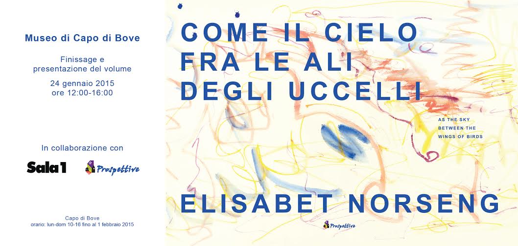 Elisabet Norseng – Come il cielo tra le agli degli uccelli